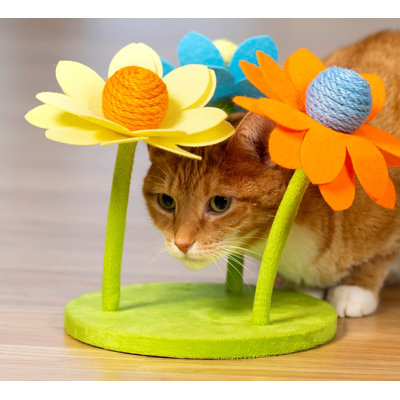 Grattoir pour chat Hoang Power Paws