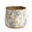 Wulfram Ceramic Pot Planter-545698555