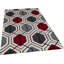 Tiger Geometric Hand Woven Area Rug-21699897