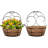 Aeriss Metal Wall Planter