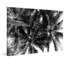 « summer frondes » par morgan j hartley, reproduction d’art sur toile tendue-18227469