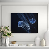 Jelly Fish Parade Two Print