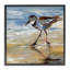 «Sandpiper and Beach Tide», art de la giclée encadrée par Susan Winget-114341247-114341245