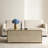 Adelais Antique Mirrored Coffee Table-1817699689