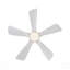 Ventilateur de plafond intérieur chaud 42 pouces avec lumière DEL à intensité variable, 5 pales en bois massif, télécommande, moteur à courant continu-2121449162-2121449165