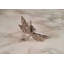 Silver Dragonfly Cabinet Knob
