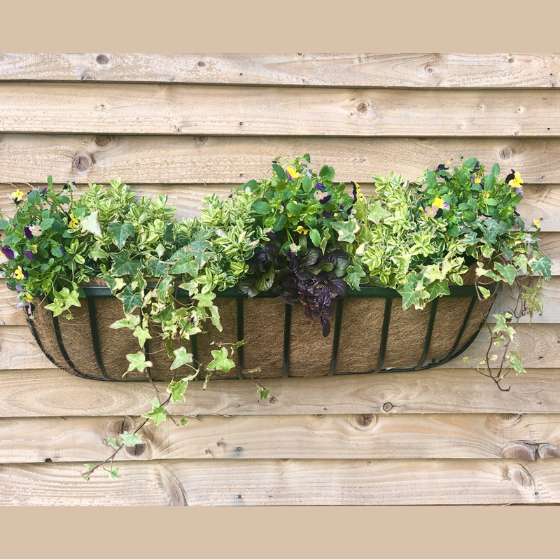 Cambridge Premium Wall Trough with Coco Liner – 30″, 30