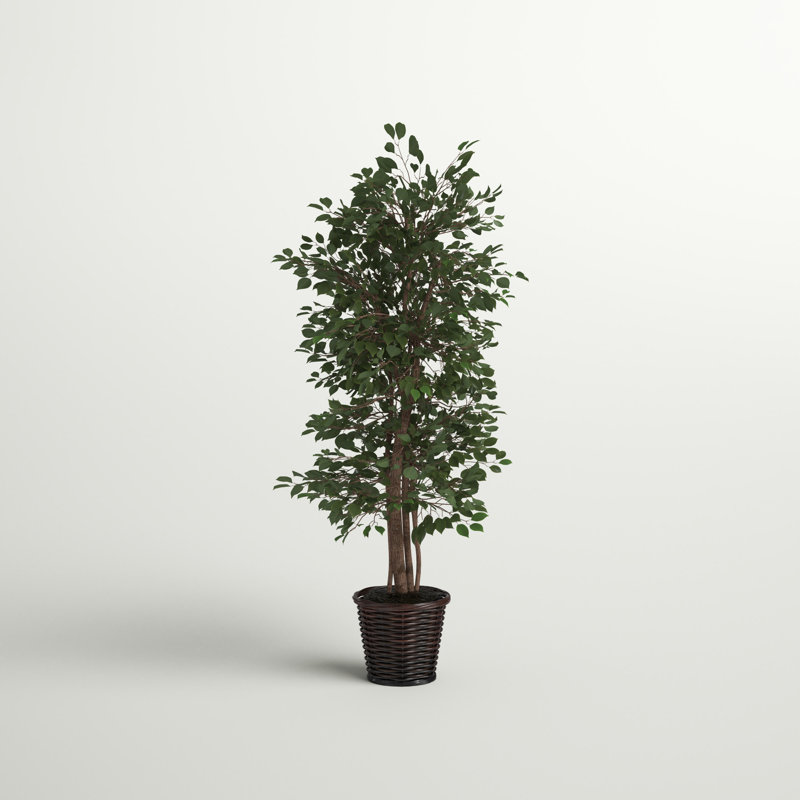 72'' Faux Tree in Wicker/Rattan Basket