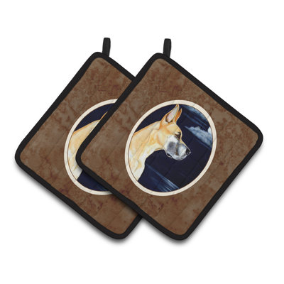 Red Barrel Studio® Polyester Potholder