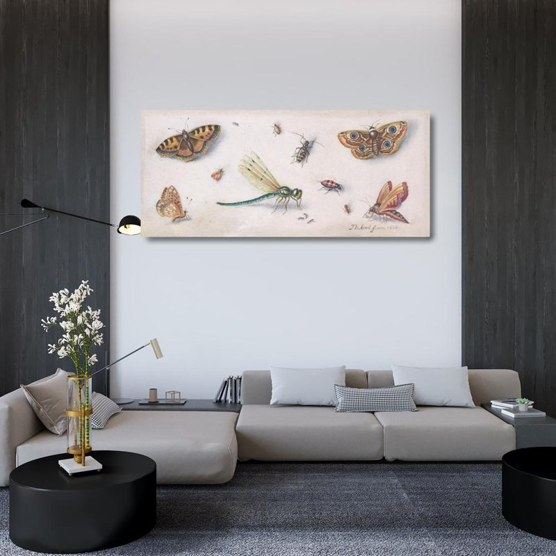 "Insectes, papillons et libellule" par Jan Van Kessel The Elder - Art sur toile tendue avec châssis, H 33 po x l 48 po