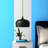 Reiner 1 - Light Single Pendant-1626792058-1626792483