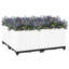 Aquita Raised Garden Bed