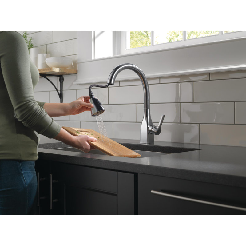 Robinet de cuisine à poignée simple avec accessoires Mateo ™, Acier arctique