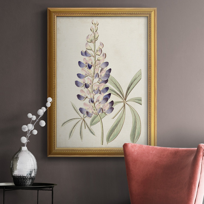 Toile encadrée de qualité supérieure Antique Botanical Collection II - prête à être accrochée, H 36 po x l 24 po x P 2,5 po