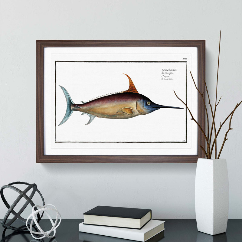 Swordfish - Picture Frame Art Prints, 36cm H x 48cm W x 2cm D, Walnut Framed
