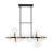 12-Light Clear Glass Linear Chandelier