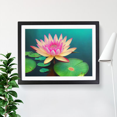 Attractive Water Lily Flower - Single Picture Frame Painting