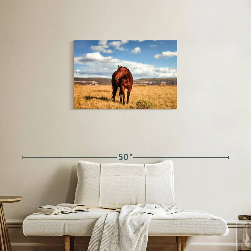 Wild Quarter Horse, 20" H x 30" W