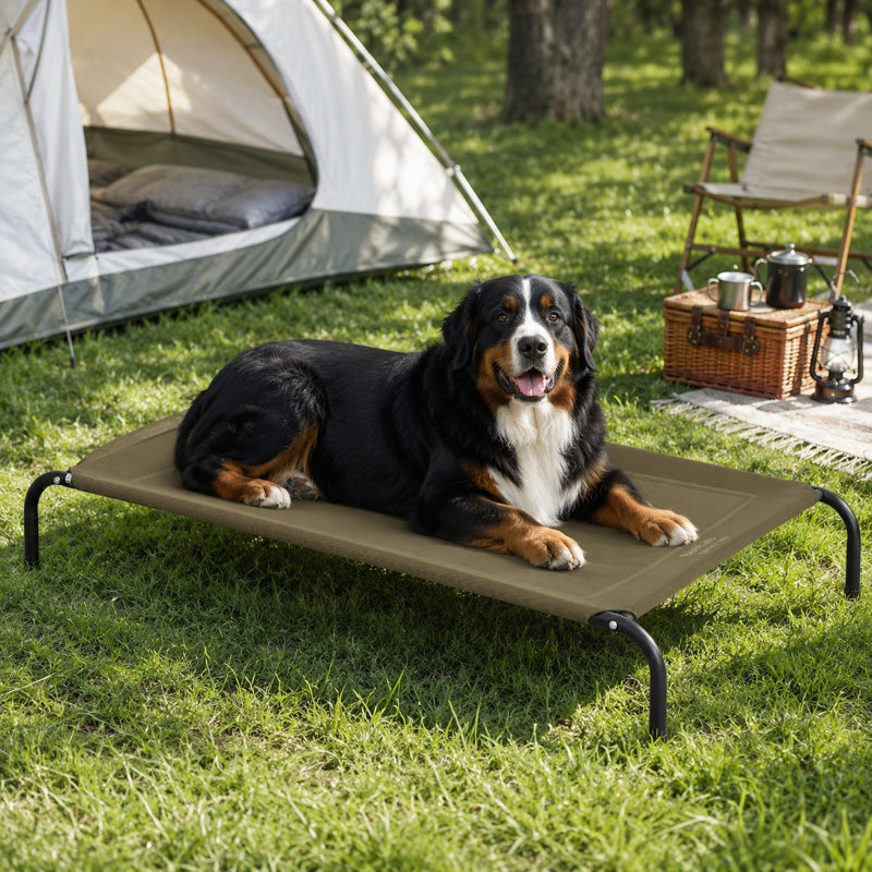 Lit d'extérieur pour chien 49 po, Brown