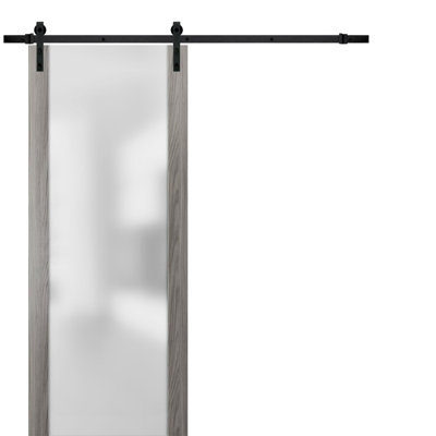 Planum Frosted Glass Wood Barn Door