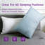 Oreiller en mousse à mémoire de forme Wayfair Sleep-1468884235-1369895925-1369895927