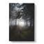 White Wolf In A Forest - Wrapped Canvas-56661514