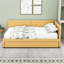 Lit de jour moderne rembourré avec lit gigogne simple-764000458-764344255