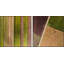 Diptych rows de ferme-19140006
