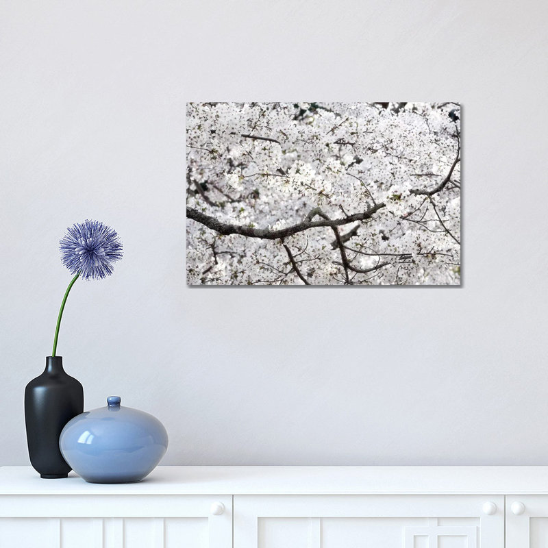 Sakura Cherry Blossom par Philippe Hugonnard - reproduction de photo sur toile tendue, H 12 po x l 18 po x 1,5 po