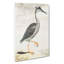 Heron by Johan Teyler - Wrapped Canvas-55360666