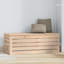 17 Stories Nervie 89cm W Pine Solid Wood Deck Box-2048004890