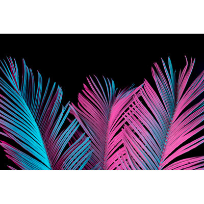 Damiane " Tropical And Palm Leaves " by Ivan101