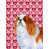 Épagneul cavalier King Charles sélectionné