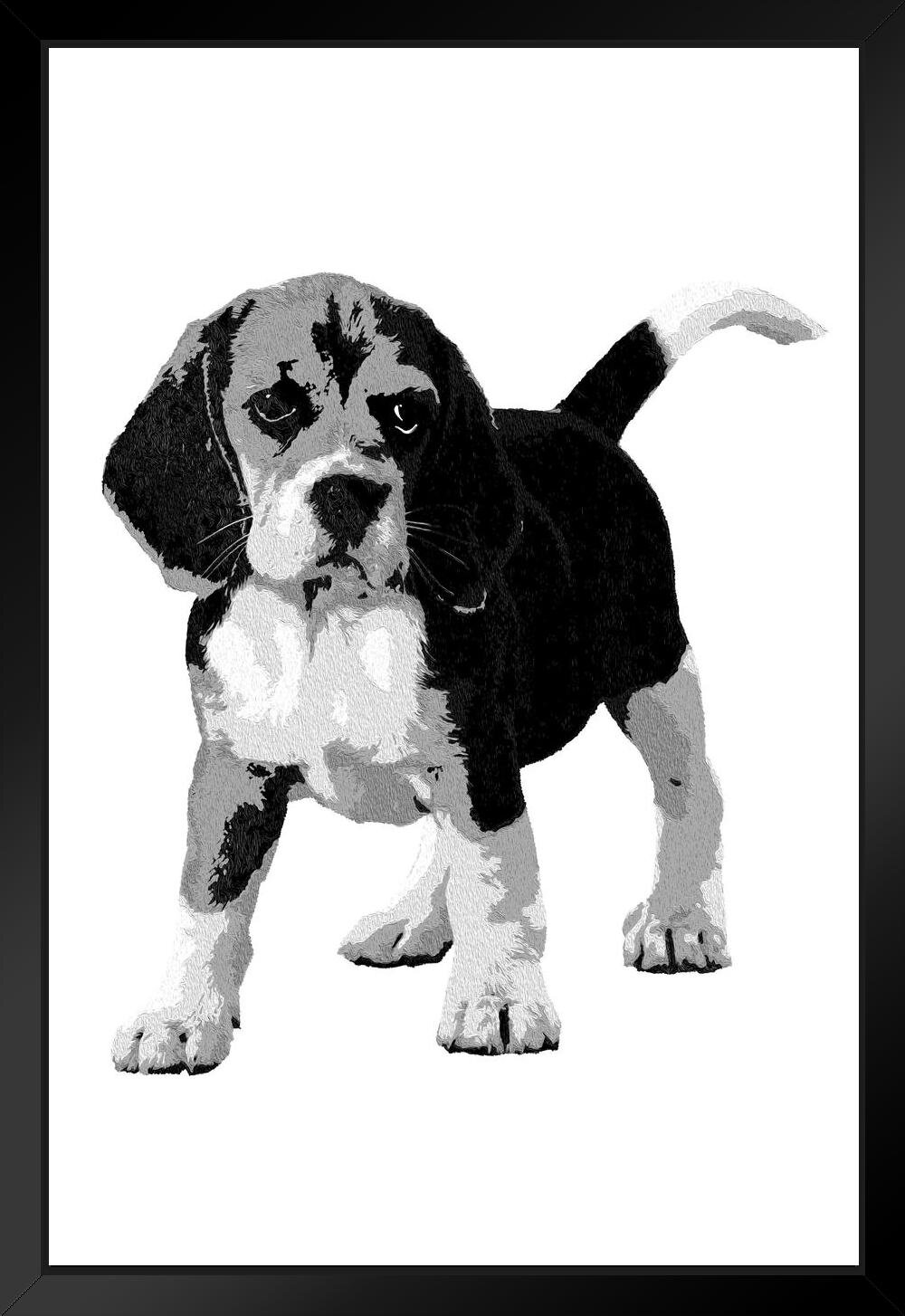 beagle dog black and whiter