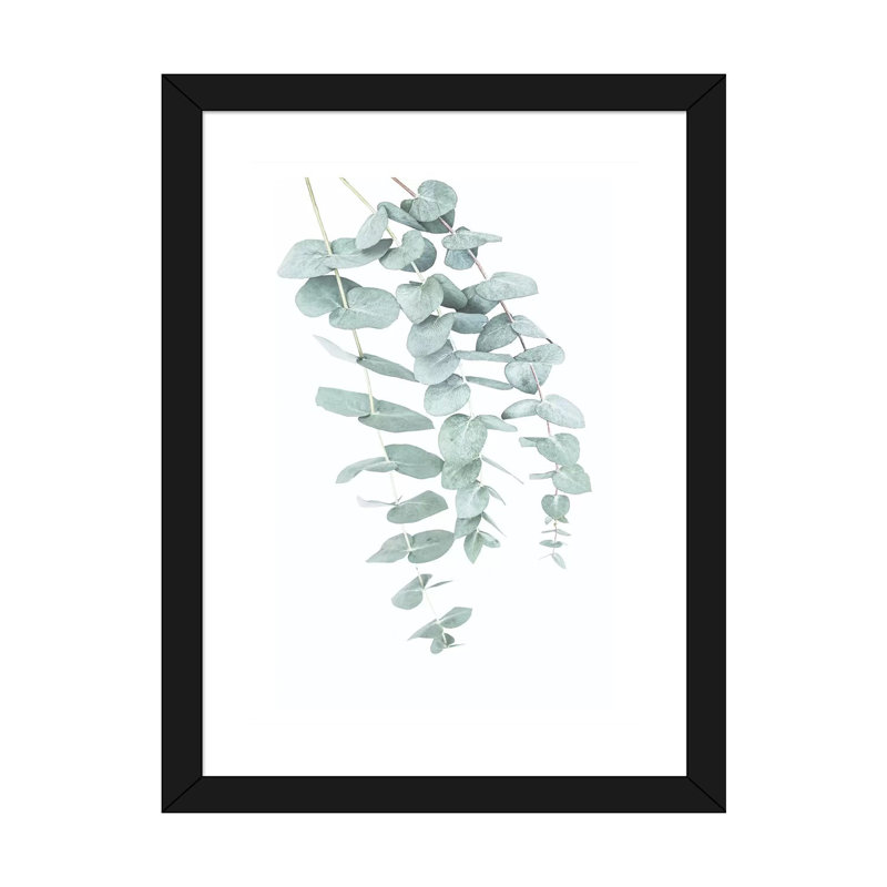 «Eucalyptus II» par Sissi et Seb - impression d'art graphique, Blanc, H 24 po x l 16 po x P 1 po, Papier encadré noir
