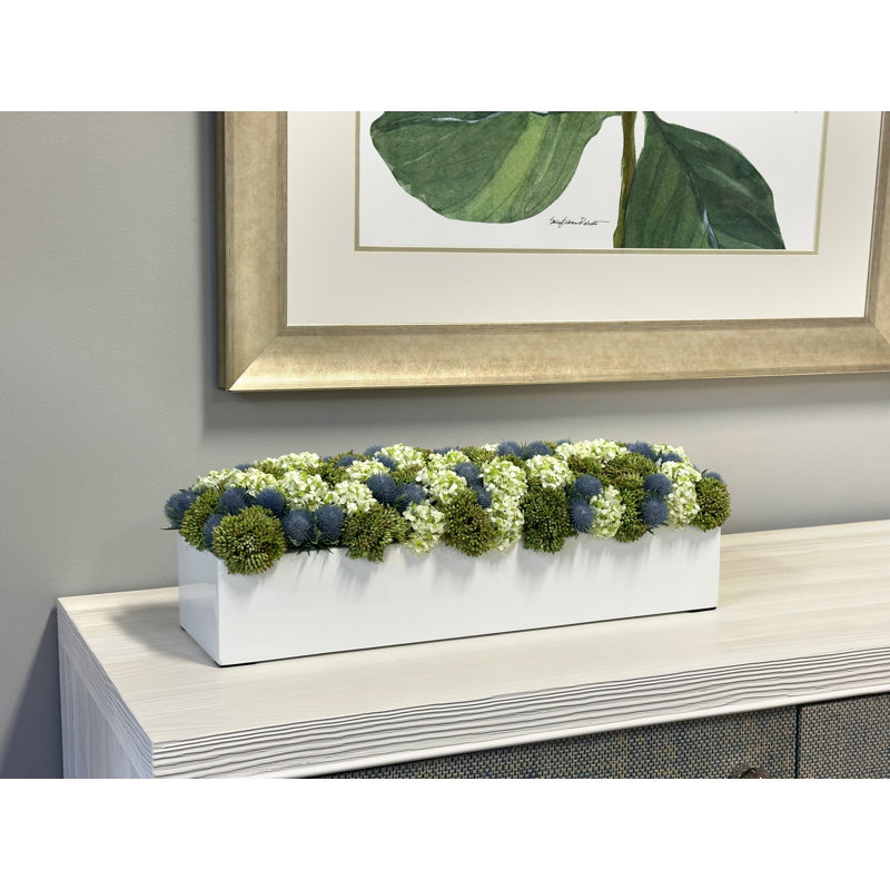 Sedum and Thistle Arranged in Rectangular Planter