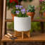 Alyanah Stoneware Ceramic Planter with Stand - Contemporary Decorative Plant Pot with Textured Design and Elevated Base-750024467