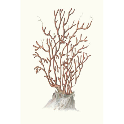 Terra Cotta Coral II 1 Piece Wrapped Canvas Wall Art