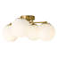 Glass Semi Flush Mount