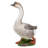 Goose Statue