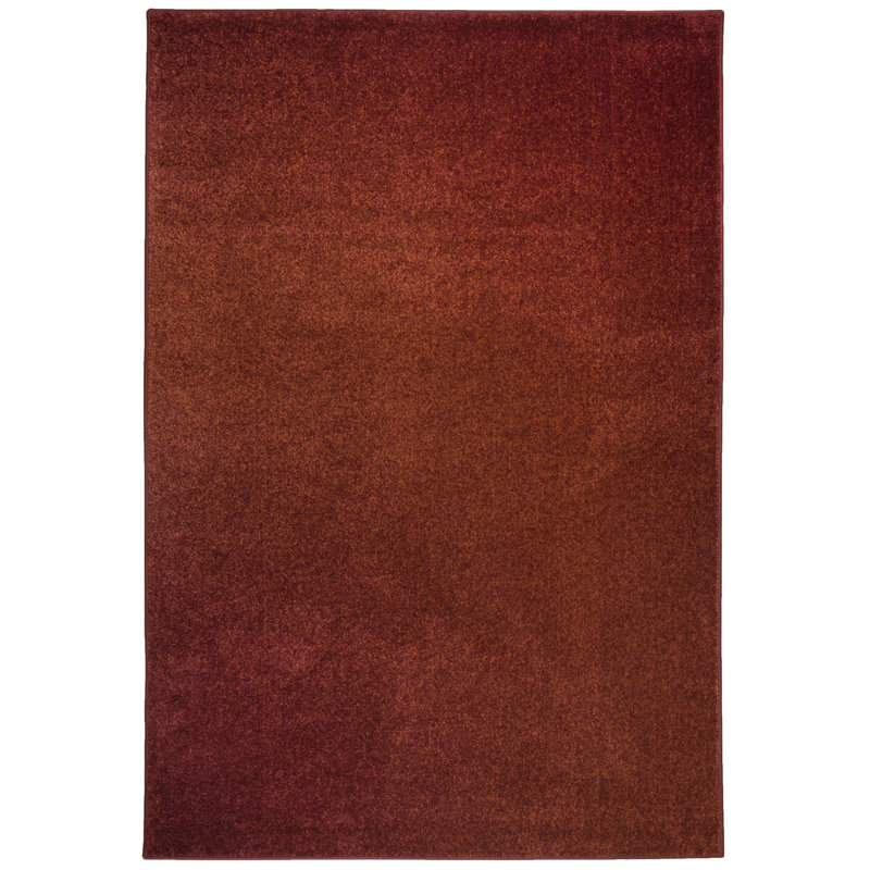 Amiyla Solid Colour Area Rug, Rectangular 67 x 120cm