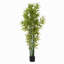 Ensemble de 2 pots en bambou 72 po 72 po-1744653574