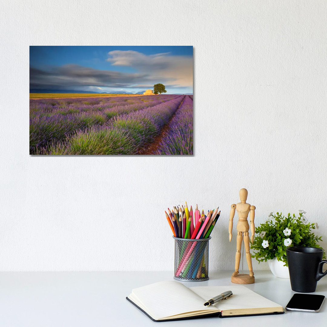 Worth The Wait, Provence, France by Jim Nilsen - Wrapped Canvas Gallery-Wrapped Canvas Giclée