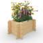 Wood Elevated Planter