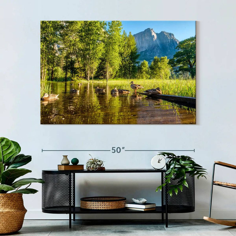 Alvord Flooded Meadow Boardwalk, 34" H x 51" W