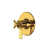 Unlacquered Brass