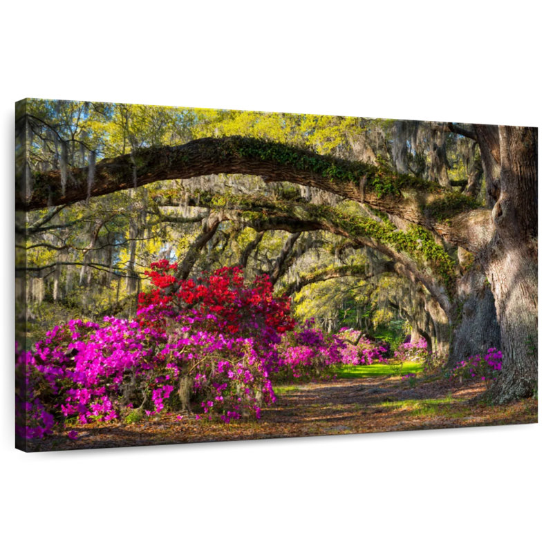 Ravi Azalea Flower Garden, H 26 po x l 39 po