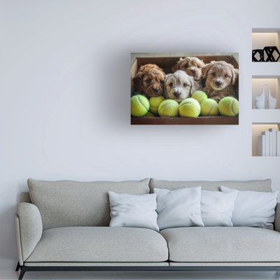 Wrapped Canvas Wall Art - Imagine It Images 'Puppies in a box of tennis balls 1' Wall Art for Living Room, Bedroom, or Office Décor  - 16x24