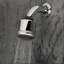 Cigno 1568 Wall Mount Shower Head With Arm And Flange