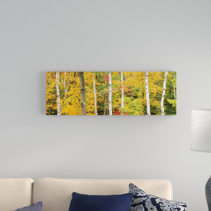 « automne forest landscape », reproduction de photo sur toile tendue, H 12 po x l 36 po x P 1,5 po